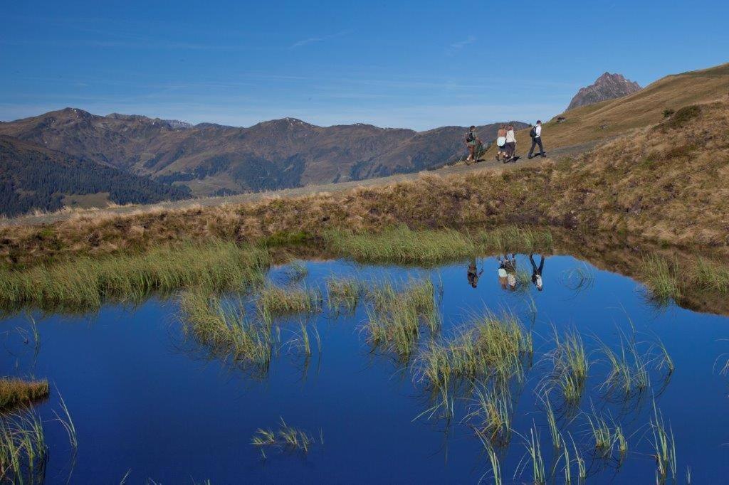 Apartmán Neuhaushof Hollersbach im Pinzgau Exteriér fotografie