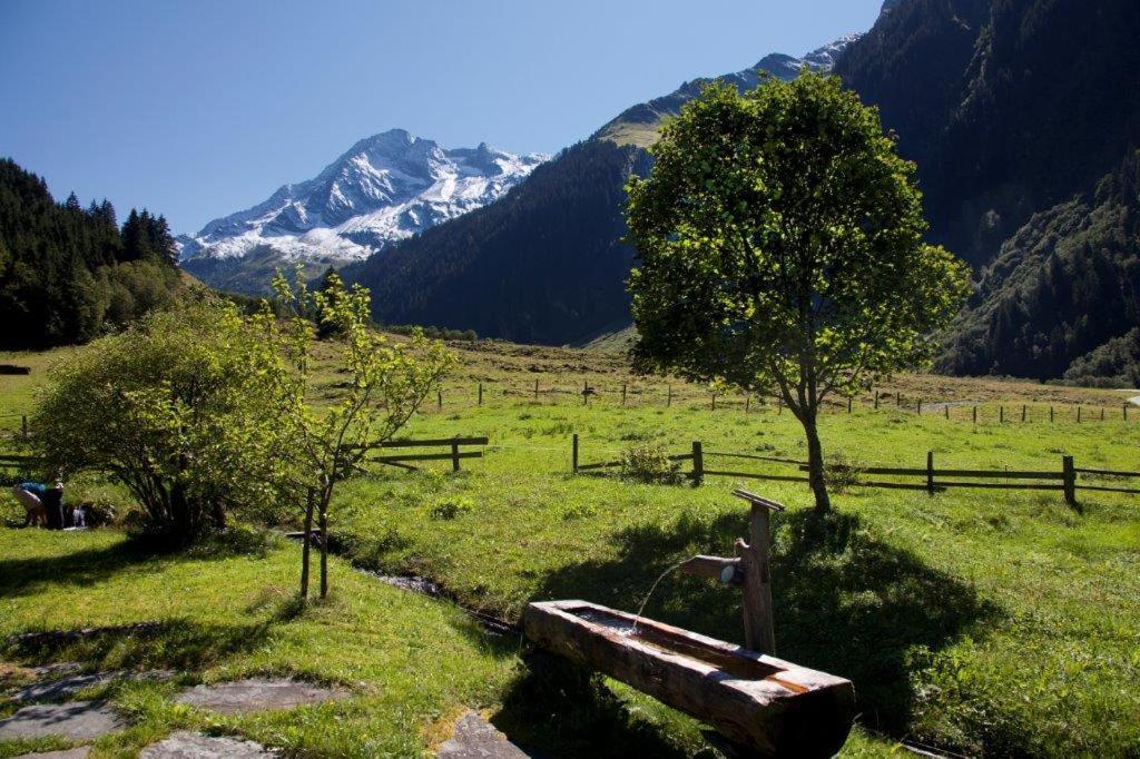 Apartmán Neuhaushof Hollersbach im Pinzgau Exteriér fotografie