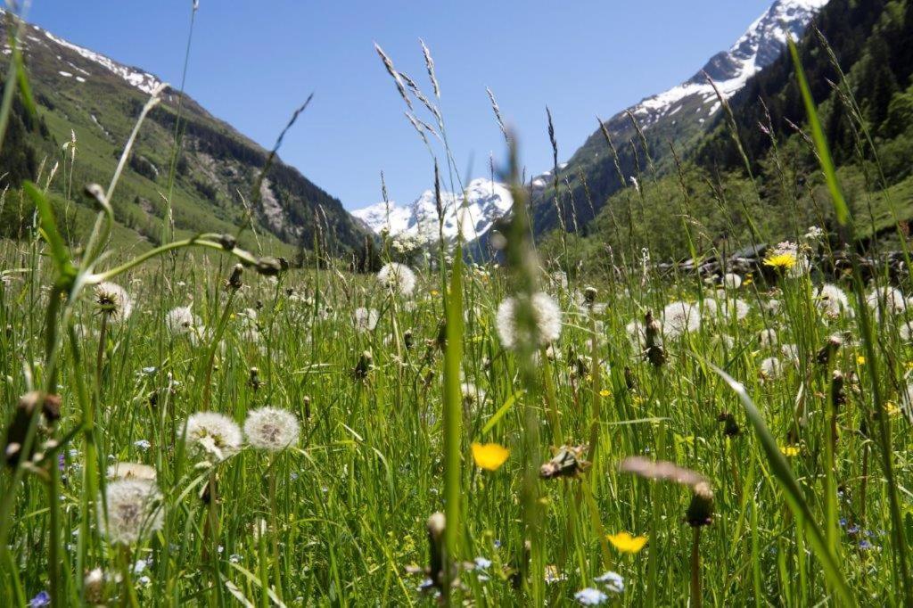 Apartmán Neuhaushof Hollersbach im Pinzgau Exteriér fotografie