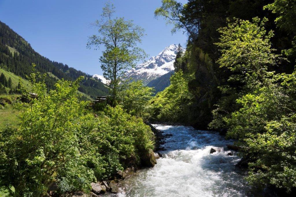 Apartmán Neuhaushof Hollersbach im Pinzgau Exteriér fotografie